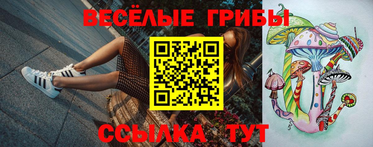 Галлюциногенные грибы прущие грибы  Вход с VPN  Нижний Новгород  Галлюциногенные грибы Cubensis 